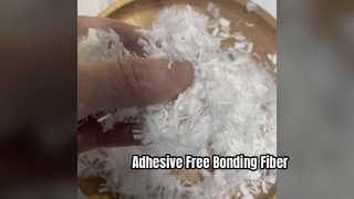 Adhesive-Free Bicomponent Bonding Fiber 2D*6MM, Heat Fusible Stable Fiber for Filter & Automotive