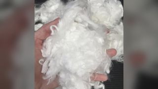 2D×25mm Phase Change Energy Storage Fiber, Silicon Oil Treated Smooth Staple Fiber for Textile Filli