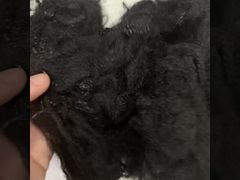 2.5D*64mm native recycled 2D hollow fiber