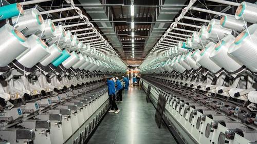 Latest company news about Differences Between Cotton and Polyester Fibers: An In-Depth Professional Analysis