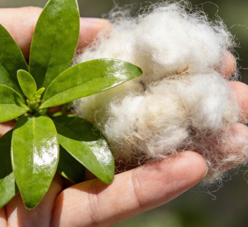 Latest company news about Black & White Hollow Fibers: The Go-To Choice for Textile & Industrial Manufacturing