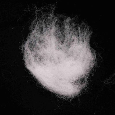 Buy Packing Material 51mm PE/PP ES Fiber White Artificial Flame Retardant Fiber online manufacture