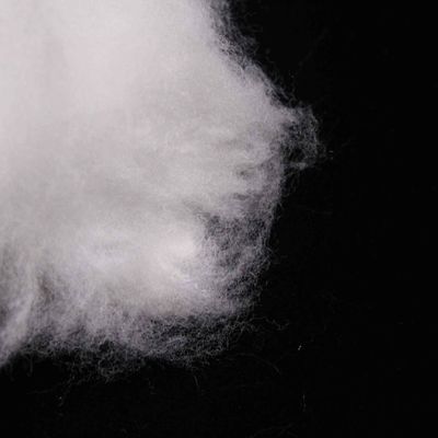 Buy Propylene Side By Side Artificial Lightweight Polyester Staple Fibres For Face Mask online manufacture