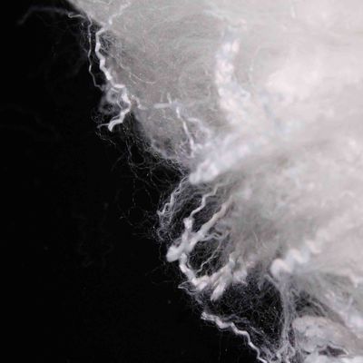 Buy White Polyester Artificial Staple Fiber 51mm 180℃ For Automotive Interior Use online manufacture