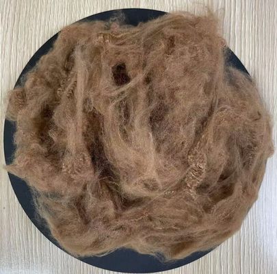 Good price Recycled Polyester Staple Fiber 2.5D 51mm Coffee online