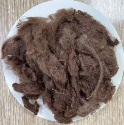 Good price Recycled Polyester Staple Fiber 2.5D 51mm Dark Coffee online