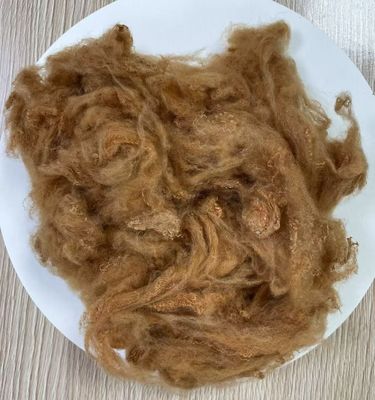 Good price Recycled Polyester Staple Fiber 2.5D 51mm Yellow Camel online