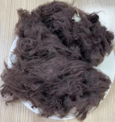 Good price non siliconized Recycled Polyester Fiber 1.5D 38mm Dark Coffee online