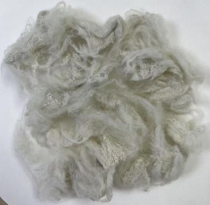 Good price Recycled Polyester Staple Fiber 2.5D 51mm OEKO-TEX Certified online