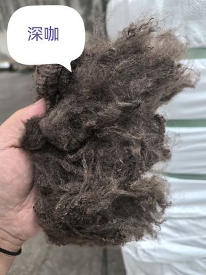 Good price Recycled Polyester Staple Fiber 3D 51mm Dark Coffee online