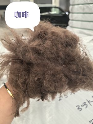 Good price Recycled Polyester Staple Fiber 3D 51mm Non-Siliconized online