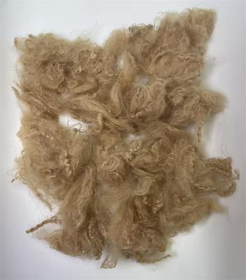 Good price Recycled Polyester Staple Fiber with 38-64mm Fiber Cut Length High Tear Resistance and 0.4% Moisture Regain online