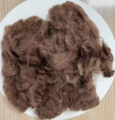 Good price Recycled Polyester Staple Fiber 2.5D 51mm Coffee Color online
