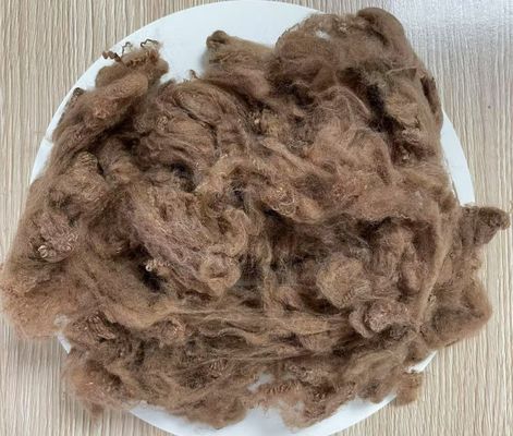 Good price Recycled Polyester Staple Fiber 2.5D 51mm Yellow Coffee  High Wrinkle Resistance online