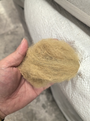 Good price Recycled Polyester Staple Fiber 6D 51mm Beige  Low Elongation online