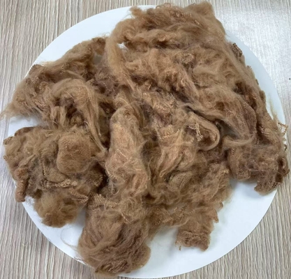 Good price Recycled Polyester Staple Fiber 1.5D 38mm Light Camel online